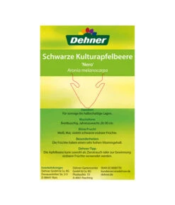 Apfelbeere, Aronia 'Nero' -Outdoor Garten Geschäft 00000000 Aronia melanocarpa Nero 2016 2