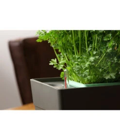 GREENBAR® Kräuterkasten, Ca. B48/H15,5/T16 Cm 18 GREENBAR® Kräuterkasten, Ca. B48/H15,5/T16 Cm -Outdoor Garten Geschäft 20150713 350 greenbar fuellanzeiger studio herzig