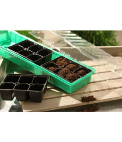 Dehner Zimmergewächshaus Frans, 54 X 15 X 12 Cm 6 Dehner Zimmergewächshaus Frans, 54 X 15 X 12 Cm -Outdoor Garten Geschäft 207456 BildM 001 RombergZimmergewaechshausFransFensterbGewH54X15x12