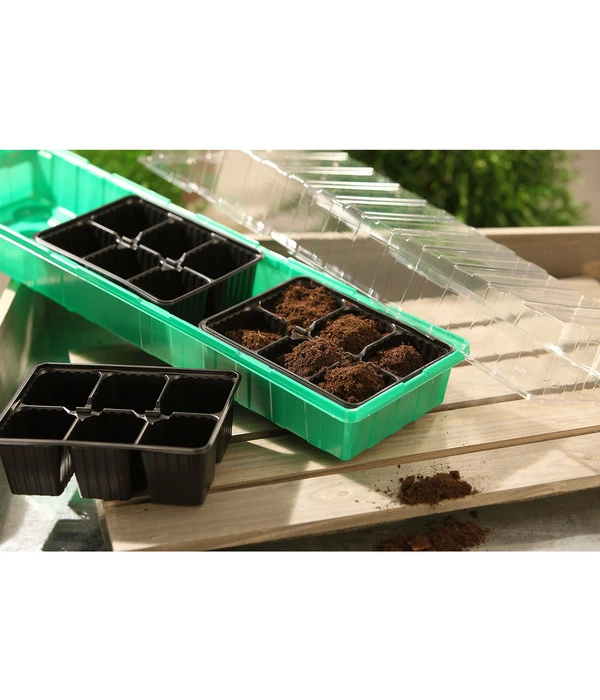 Dehner Zimmergewächshaus Frans, 54 X 15 X 12 Cm 3 Dehner Zimmergewächshaus Frans, 54 X 15 X 12 Cm – Bild 3