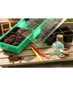 Dehner Zimmergewächshaus Frans, 54 X 15 X 12 Cm 7 Dehner Zimmergewächshaus Frans, 54 X 15 X 12 Cm -Outdoor Garten Geschäft 207456 BildM 002 RombergZimmergewaechshausFransFensterbGewH54X15x12