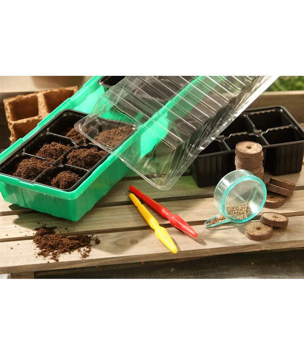 Dehner Zimmergewächshaus Frans, 54 X 15 X 12 Cm 4 Dehner Zimmergewächshaus Frans, 54 X 15 X 12 Cm – Bild 4