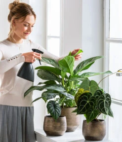 Dehner Keramik-Übertopf Mathea, Bauchig, Gold/braun -Outdoor Garten Geschäft 220527 5178124 PR WE 001 SprueherGrau