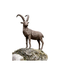 Rottenecker Bronzefigur Steinbock Groß