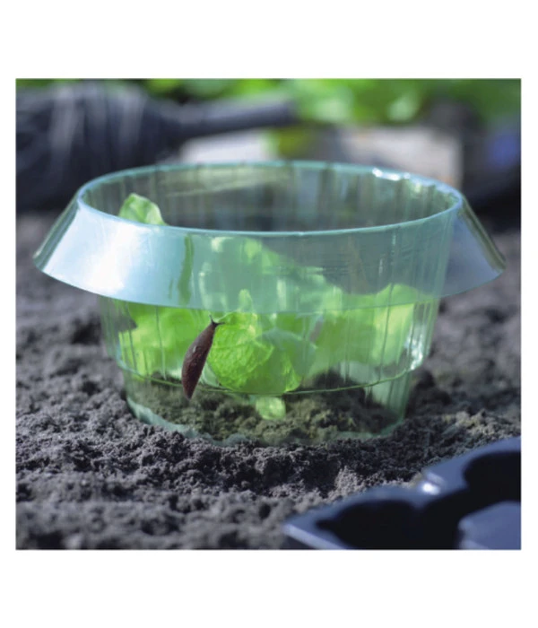 Dehner Schneckenschutzring 2 Dehner Schneckenschutzring – Bild 2