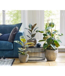 Dehner Keramik-Übertopf Kenia, Konisch, Braun -Outdoor Garten Geschäft 2906469 WE MO 001 TopfKeniaBraun