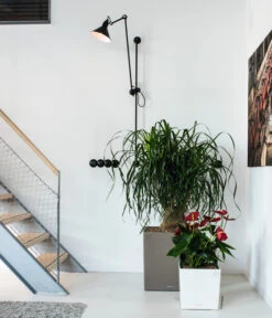 LECHUZA® CUBE, All-in-One Set -Outdoor Garten Geschäft 3179850 3179637 WE MO 008 CubePremiumWeissTaupe