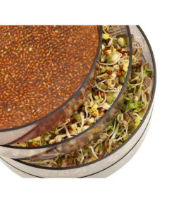 Dehner Sprossenhaus, 4 Schalen -Outdoor Garten Geschäft 3677101 WE MO 002 DehnerSprossenhausKeimsprossen