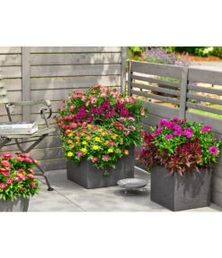 Dehner Kunststoff-Blumenkübel Palermo, Anthrazit -Outdoor Garten Geschäft 3728110 3728151 3940756 WE MO 008 KunststoffBlumenkuebelKubusanthrazitBlumentopf