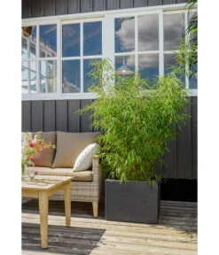 Dehner Kunststoff-Blumenkübel Palermo, Anthrazit -Outdoor Garten Geschäft 3728110 3728151 3940756 WE MO 009 KunststoffBlumenkuebelKubusanthrazitBlumentopf