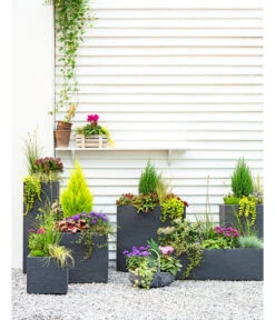 Dehner Kunststoff-Blumenkübel Palermo, Anthrazit -Outdoor Garten Geschäft 3728110 3940764 3693611 WE MO 001 KunststoffPflanzkastenKubus