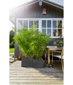 Dehner Kunststoff-Blumenkübel Palermo, Anthrazit -Outdoor Garten Geschäft 3728110 WE MO KunststoffTopfKubus