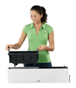 LECHUZA® Kunststoff-Kasten Balconera Cottage, Rechteckig -Outdoor Garten Geschäft 3815180 WE FS 005 LECHUZABlumenkastenBalconeraCottage