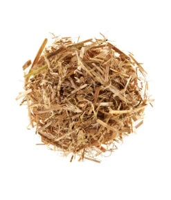 Bestseller -Outdoor Garten Geschäft 3940285 BildD 001 PilzmaennchenBioHomePilzzuchtsetAusternpilzPilzbrutAusternpilzSet