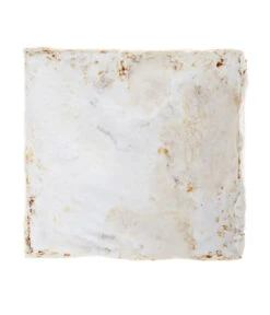 Pilzmännchen Bio Pilzzuchtset Austernpilz -Outdoor Garten Geschäft 3940285 BildD 002 PilzmaennchenBioHomePilzzuchtsetAusternpilzPilzbrutAusternpilzSet