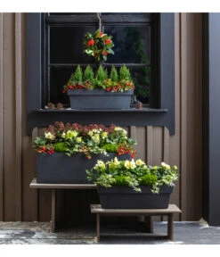 Efeu, Verschiedene Sorten 15 Efeu, Verschiedene Sorten -Outdoor Garten Geschäft 3940764 PR MO 001 KunststoffKastenKubus