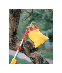 Wolf-Garten Wolf Multi-star® Obstpflücker RG-M -Outdoor Garten Geschäft 4039178 WE MO 002 WolfObstpfluecker