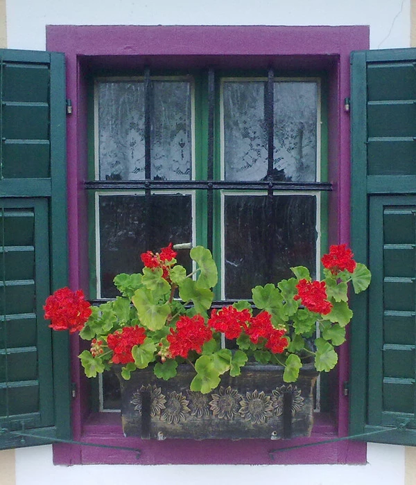 Roto Kunststoff-Pflanzkasten Planika, Rechteckig, Dunkelgrau, Ca. B49,5/H18,5/T20,5 Cm 3 Roto Kunststoff-Pflanzkasten Planika, Rechteckig, Dunkelgrau, Ca. B49,5/H18,5/T20,5 Cm – Bild 3