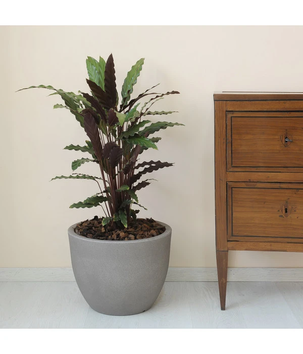 Farmet Kunststoff-Topf-Set Orione, Rund, Grau, 2-teilig 2 Farmet Kunststoff-Topf-Set Orione, Rund, Grau, 2-teilig – Bild 2