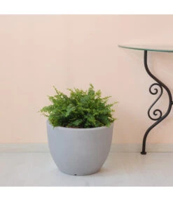 Farmet Kunststoff-Topf-Set Orione, Rund, Grau, 2-teilig 8 Farmet Kunststoff-Topf-Set Orione, Rund, Grau, 2-teilig -Outdoor Garten Geschäft 4179008 WE DE 002 ORIONERunderPflanzkuebelDurchmesser50cm37cmhochSTEINBEIGE