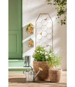 Dehner Terrakotta-Topf Adria, Rund, Antik-terrakotta -Outdoor Garten Geschäft 4272530 WE MO 005 DehnerTerrakottaTopfterrakottaantik