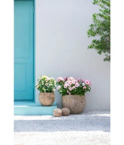 Dehner Terrakotta-Topf Imperia, Rund, Antik-terrakotta -Outdoor Garten Geschäft 4272639 4272670 WE MO 003 DehnerTerrakottaTopf