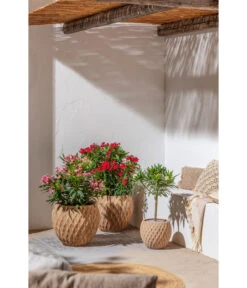 Dehner Terrakotta-Topf Imperia, Rund, Antik-terrakotta -Outdoor Garten Geschäft 4272639 4272670 WE MO 004 DehnerTerrakottaTopf