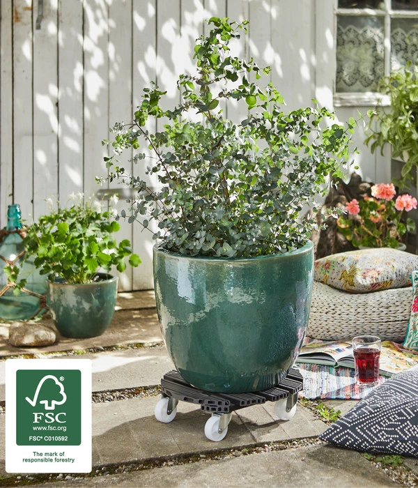 Wagner Pflanzroller, Ø 38 Cm 2 Wagner Pflanzroller, Ø 38 Cm – Bild 2