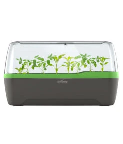 Romberg BoQube Gewächshaus 13 Romberg BoQube Gewächshaus -Outdoor Garten Geschäft 4299970 WE FS 005 RombergGewaechshausZimmergewaechshausAnzucht