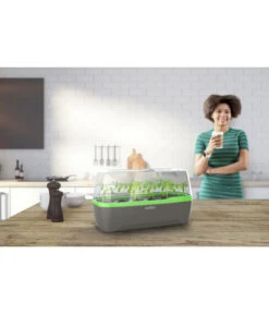 Romberg BoQube Gewächshaus 15 Romberg BoQube Gewächshaus -Outdoor Garten Geschäft 4299970 WE MO 001 RombergGewaechshausZimmergewaechshausAnzucht