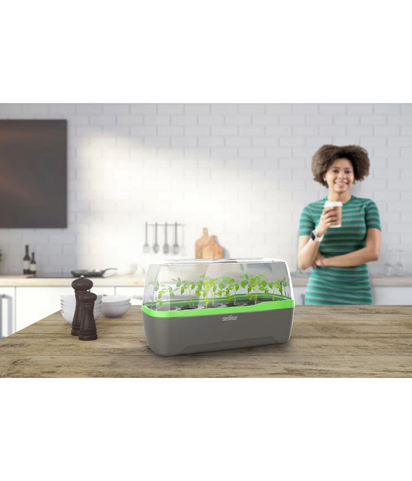 Romberg BoQube Gewächshaus 7 Romberg BoQube Gewächshaus – Bild 7