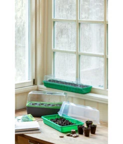 Romberg BoQube Gewächshaus 17 Romberg BoQube Gewächshaus -Outdoor Garten Geschäft 4299970 WE MO 004 BoQubeZimmergewaechshaus 1