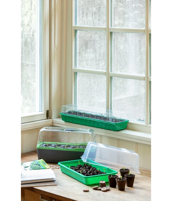 Romberg BoQube Gewächshaus 9 Romberg BoQube Gewächshaus – Bild 9