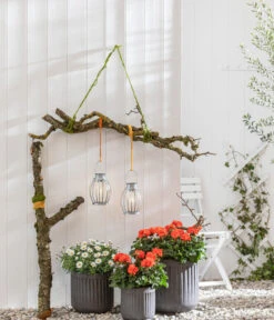 Dehner Solar-Zinkglühbirne Chester, Ca. Ø15,5/H30,5 Cm 5 Dehner Solar-Zinkglühbirne Chester, Ca. Ø15,5/H30,5 Cm -Outdoor Garten Geschäft 4395182 WE MO 002 DehnerZinkgluehbirneChester