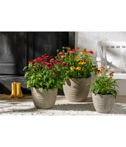 Dehner Leichtbeton-Topf Prunus, Graubraun -Outdoor Garten Geschäft 4440772 WE MO 001 DehnerLeichtbetonTopfPrunus