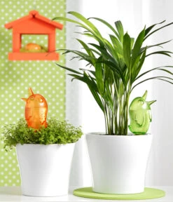 Scheurich Wasserspeicher Bördy M 6 Scheurich Wasserspeicher Bördy M -Outdoor Garten Geschäft 5124227 WE MO 001 BoerdyM