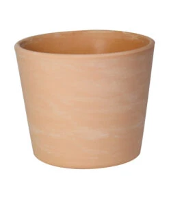 Dehner Terrakotta-Übertopf Siena, Rund