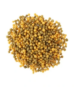 Substral® Osmocote® Buchs & Hecken Dünger, 1,5 Kg 5 Substral® Osmocote® Buchs & Hecken Dünger, 1,5 Kg -Outdoor Garten Geschäft 5170147 BildD 001 SubstralOsmocoteDuengerBuchsUndHeckenBuchsHeckenduengerOsmoc