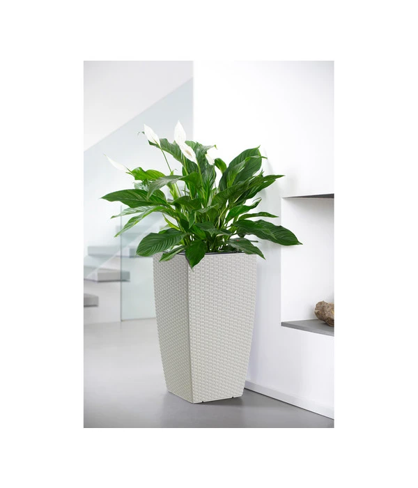 Dehner Kunststoff-Flechttopf Dallas, Quadratisch 2 Dehner Kunststoff-Flechttopf Dallas, Quadratisch – Bild 2