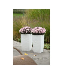 Dehner Kunststoff-Flechttopf Dallas, Quadratisch 16 Dehner Kunststoff-Flechttopf Dallas, Quadratisch -Outdoor Garten Geschäft 5336508 WE MO 002 KunststoffFlechttopf30x30cmWeissDehnerLiving