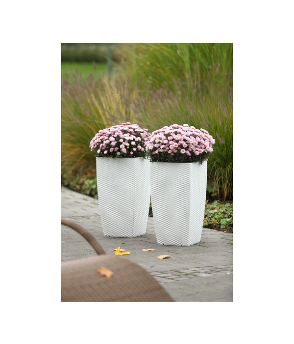 Dehner Kunststoff-Flechttopf Dallas, Quadratisch 3 Dehner Kunststoff-Flechttopf Dallas, Quadratisch – Bild 3