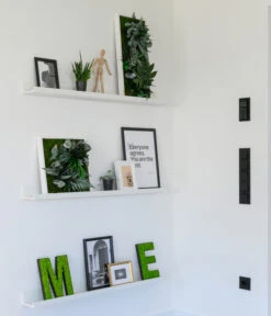 StyleGREEN Bild Im Dschungeldesign, Rechteckig, Ca. B57/H27/T16 Cm -Outdoor Garten Geschäft 6429930 WE MO 002 Pflanzenbild57x27cmStylegreen