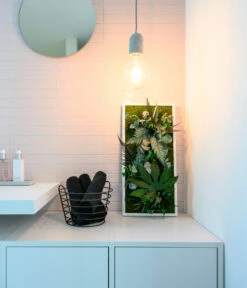 StyleGREEN Bild Im Dschungeldesign, Rechteckig, Ca. B57/H27/T16 Cm -Outdoor Garten Geschäft 6429930 WE MO 003 Pflanzenbild57x27cmStylegreen