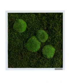 StyleGREEN Bild Aus Wald- Und Kugelmoos, Quadratisch, Ca. B35/H35/T6 Cm