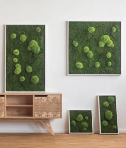 StyleGREEN Bild Aus Wald- Und Kugelmoos, Quadratisch, Ca. B35/H35/T6 Cm 5 StyleGREEN Bild Aus Wald- Und Kugelmoos, Quadratisch, Ca. B35/H35/T6 Cm -Outdoor Garten Geschäft 6429948 WE MO 001 Wald Kugelmoosbild35x35cmStylegreen