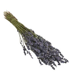Bestseller 23 Trockenblumenbund Lavendel