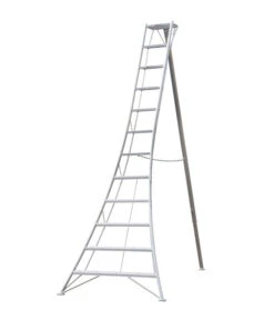 Niwaki 3-Holm-Gartenleiter