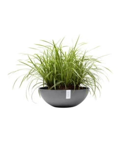 Ecopots Kunststoff-Topf Vienna, Rund, Grau, Ca. Ø50/H18 Cm 9 Ecopots Kunststoff-Topf Vienna, Rund, Grau, Ca. Ø50/H18 Cm -Outdoor Garten Geschäft 6614457 WE FS 003 EcopotsKunststoffTopfViennarundgrau