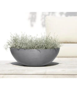 Ecopots Kunststoff-Topf Vienna, Rund, Grau, Ca. Ø50/H18 Cm 11 Ecopots Kunststoff-Topf Vienna, Rund, Grau, Ca. Ø50/H18 Cm -Outdoor Garten Geschäft 6614457 WE MO 001 EcopotsKunststoffTopfViennarundgrau