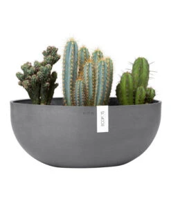 Ecopots Kunststoff-Schale Sofia Mit Wassersystem, Oval, Grau, Ca. B43/H17,5/T25 Cm -Outdoor Garten Geschäft 6614713 WE FS 003 EcopotsKunststoffSchaleSofiabreitovalgrau